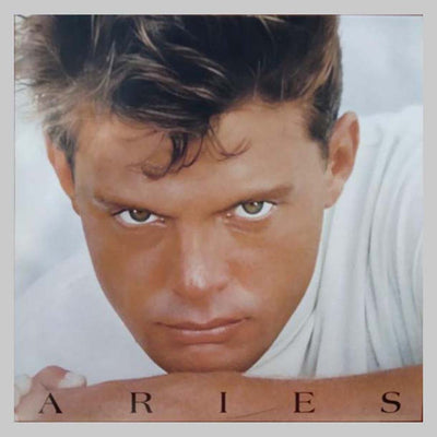 VINILO - ARIES - LUIS MIGUEL