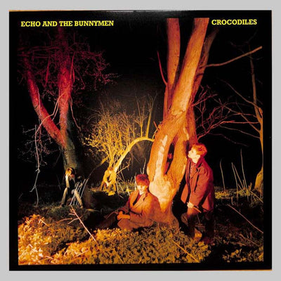 VINILO - CROCODILES - ECHO & THE BUNNYMEN