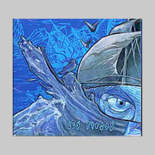 AZUL - PIOJOS LOS