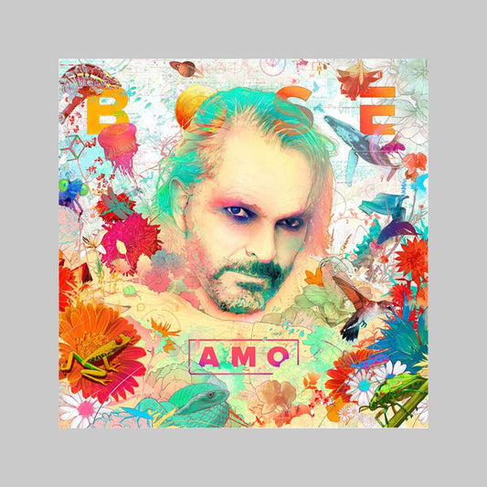 AMO - BOSE MIGUEL