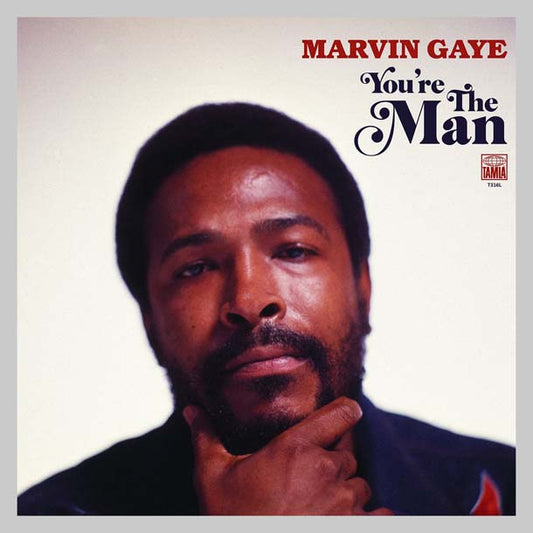 YOU RE THE MAN - GAYE MARVIN