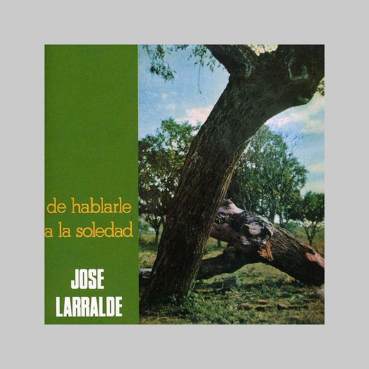 DE HABLARLE A LA SOLEDAD - LARRALDE JOSE