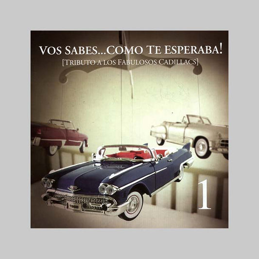 VOS SABES COMO TE ESPERABA - VARIOS INTERPRETES