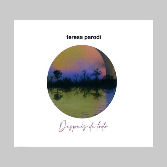 DESPUES DE TODO - PARODI TERESA