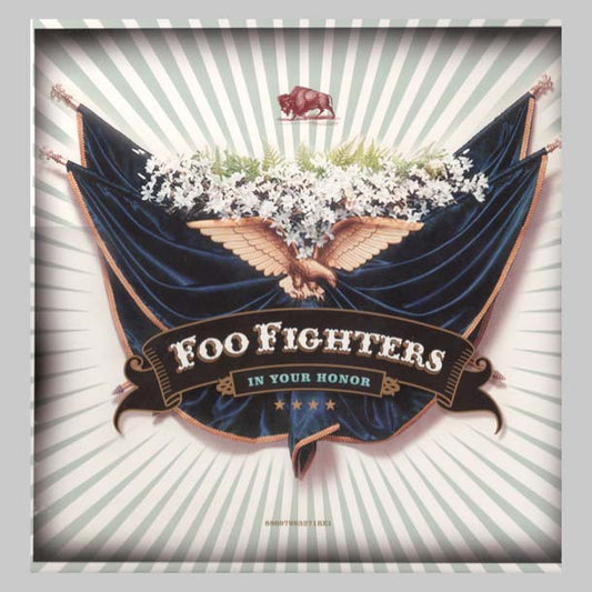 IN YOUR HONOR (2LP) - FOO FIGHTERS