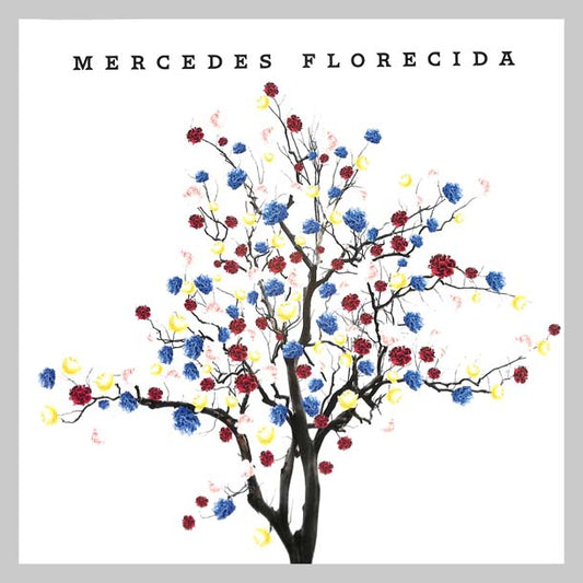 MERCEDES FLORECIDA - SOSA MERCEDES