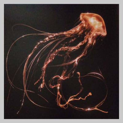 VINILO - BACK TO THE WATER BELOW - ROYAL BLOOD