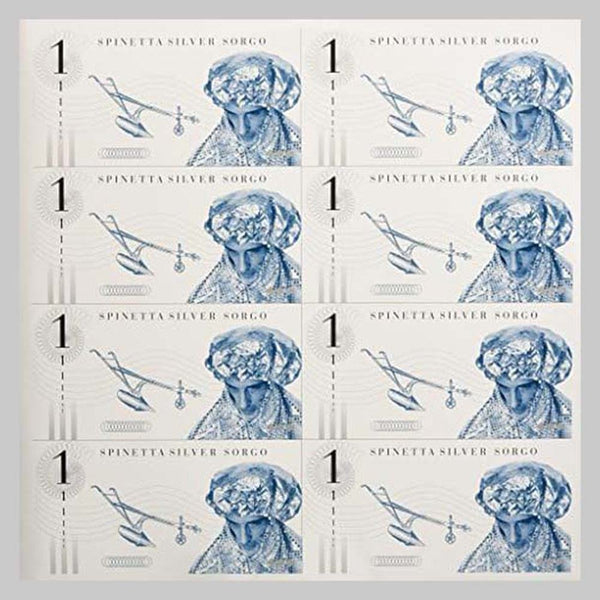 SPINETTA LUIS ALBERTO - SILVER SOGO (2LP) - VINILOS Premium
